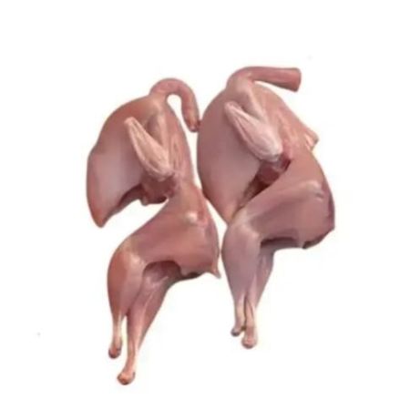 Quail Meat 1Pc