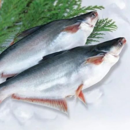 Apollo Fish 1kg
