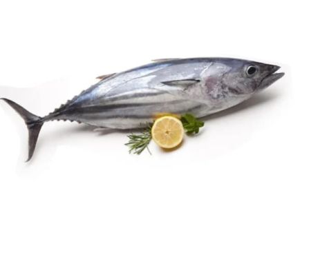 Tuna Fish 1kg